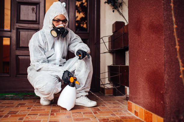 Reliable Cockroach Control contractor in Brookston, IN by Nex Pest Control